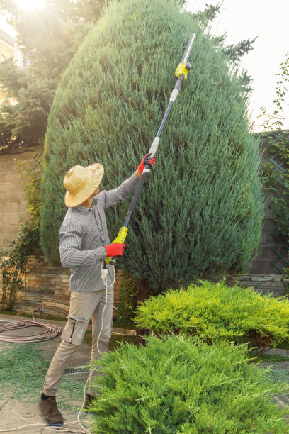 Best Lawn Watering Services  in Boaz, WV